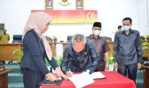 FB_IMG_1668727729045