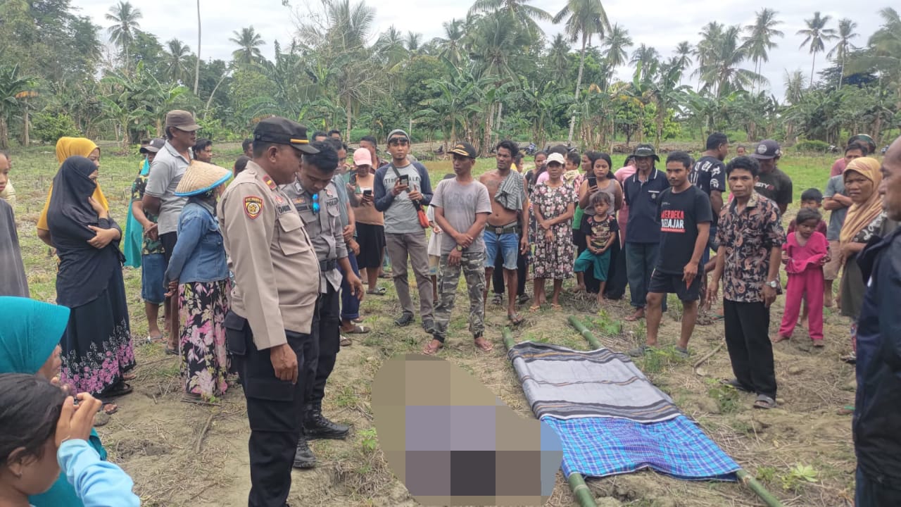 WhatsApp Image 2023-12-27 at 09.50.08